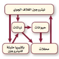 نتروجين الغلاف لجوي